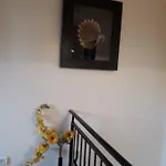 Casa Dadi 3* Constanţa