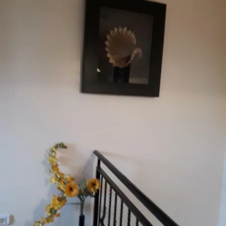 Casa Dadi 3* Constança